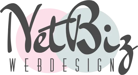 Netbiz Web Design